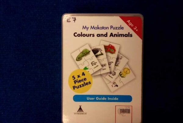 Makaton puzzle colours and animals